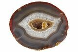 Gorgeous, Cut Agate Nodule On Metal Stand #206970-3